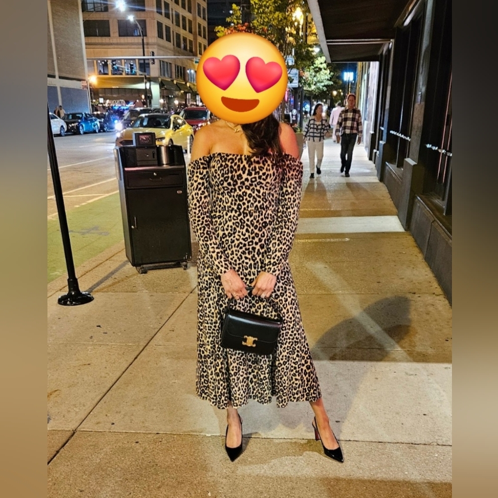 Reformation Brown Leopard Print Midi Dress
